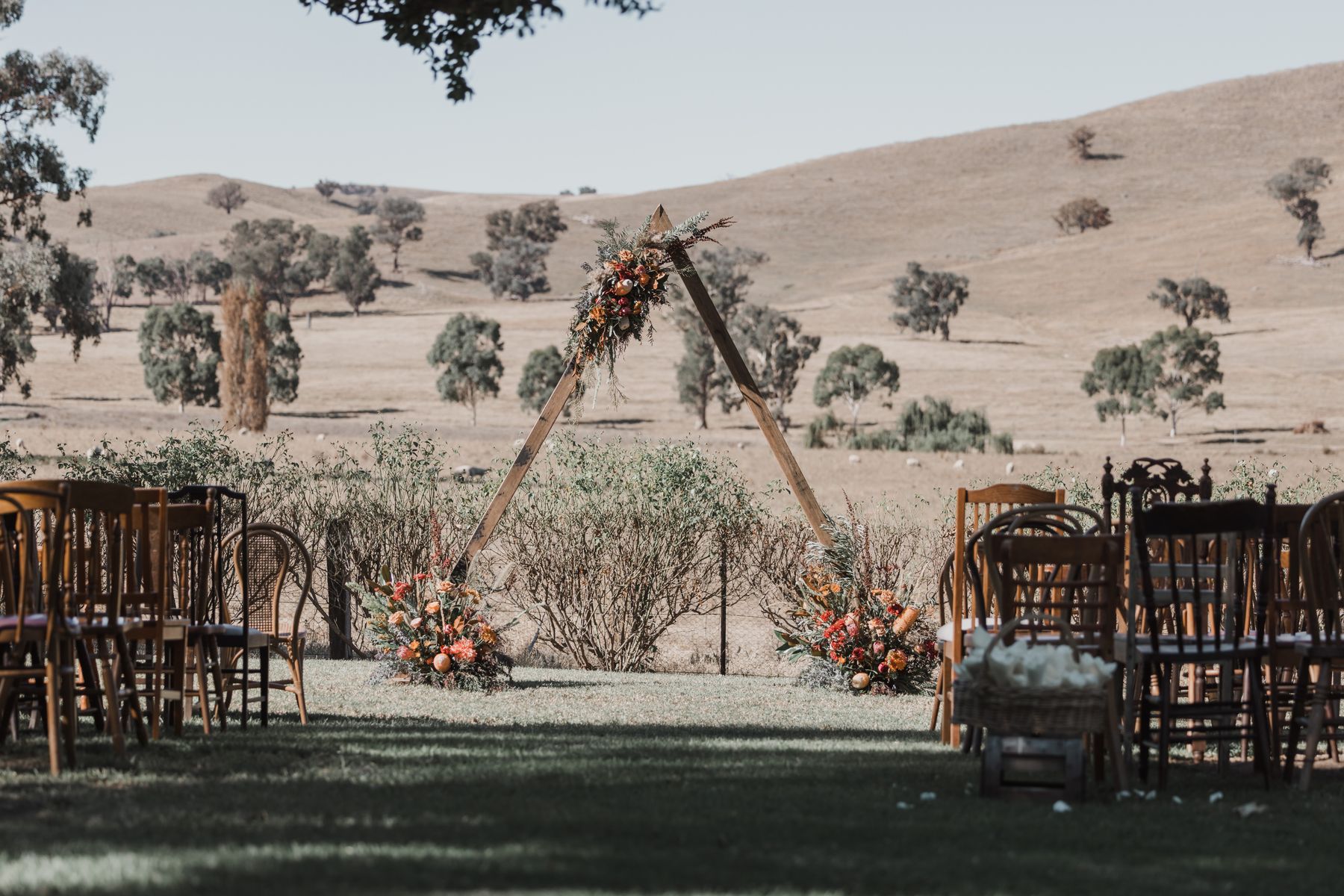 Ceremony arch in the open Hill Country